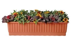 39" Self-Watering Window Box 9 39" Self-Watering Window Box -Garden Shop gs34497 01s