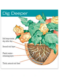 AquaSav™ Replacement Liners, Set Of 3 -Garden Shop hiw 38 583