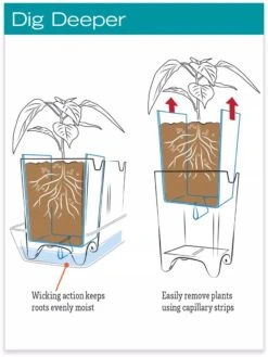Stoneware Self-Watering Windowsill Planters, Set Of 2 11 Stoneware Self-Watering Windowsill Planters, Set Of 2 -Garden Shop hiw 8593943 jpg