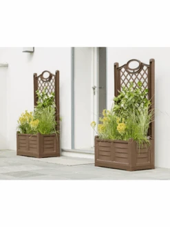 Separate Flower Box With Trellis -Garden Shop webimage 8613626 02V